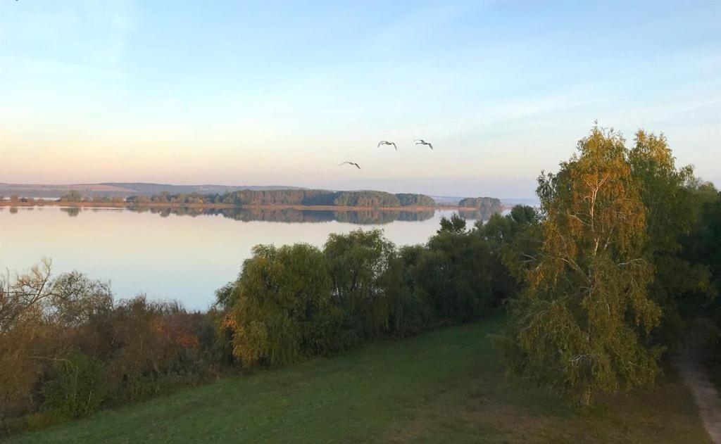 Omega Villa Badacsonytomaj Eksteriør bilde